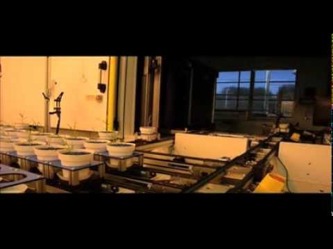 LemnaTec Video Screnshot